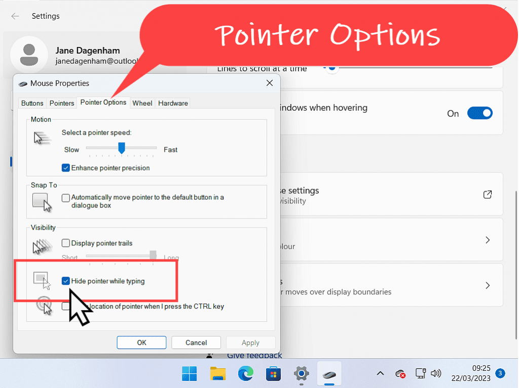 Mouse properties box is open. The Pointer options tab is indicated with a callout. Also the option "Hide pointer while typing" is selected and highlighted.