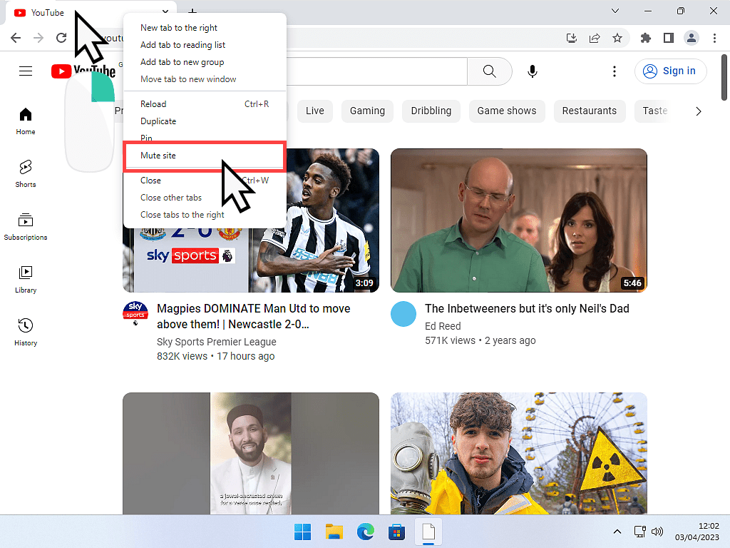 Mute Site option in Google Chrome.