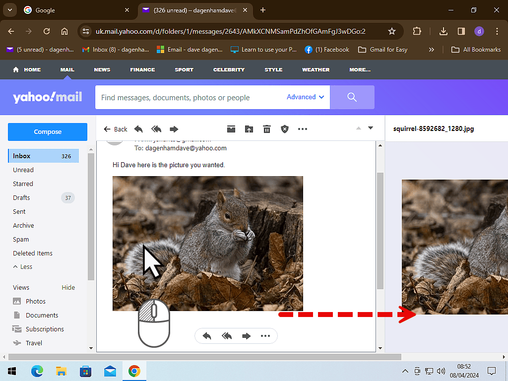 An image has been clicked and the preview panel is indicated .