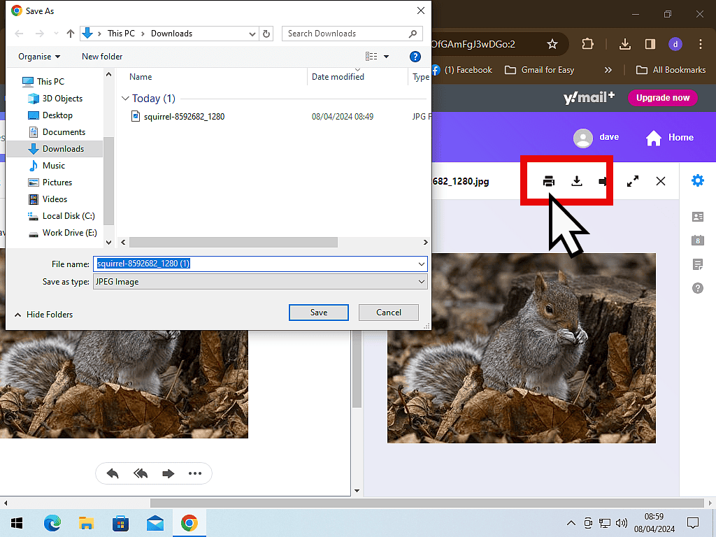 Print icon is clicked and the Save As window has opened.