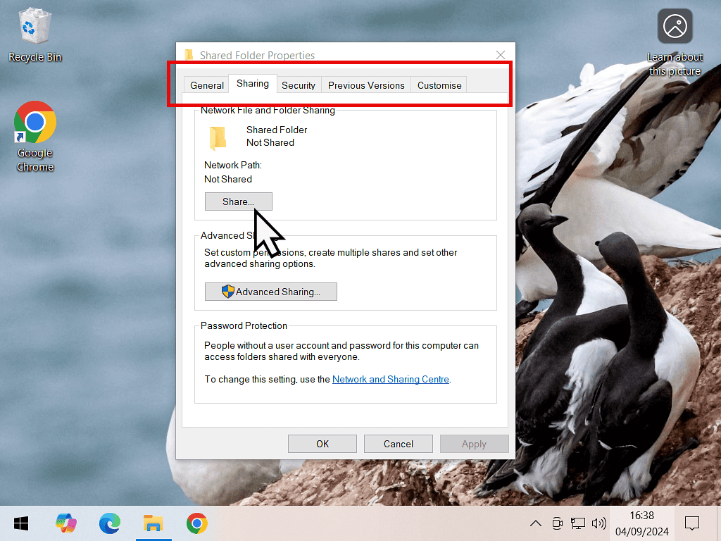 Folder properties dialogue box. Share button is marked.