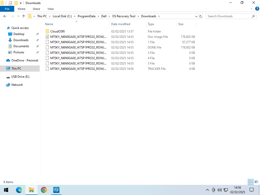 Multiple files inside Downloads folder.