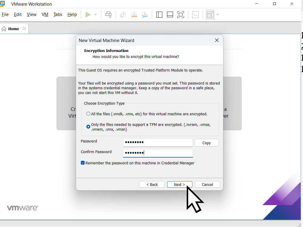 Entering the password for the virtual TPM encryption