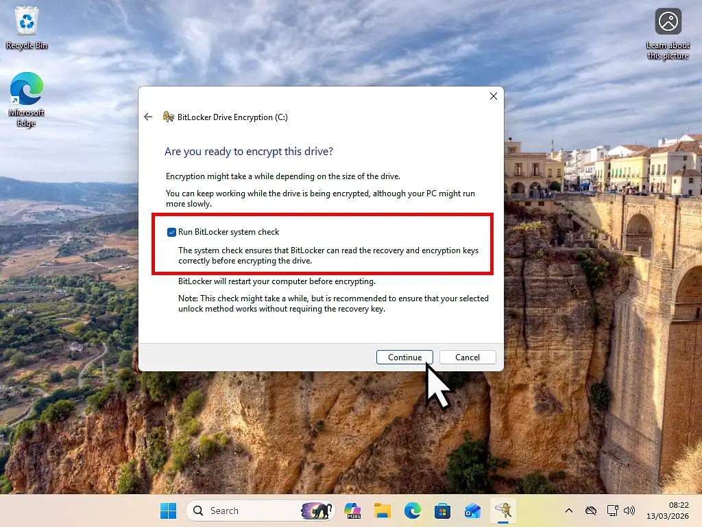 Run system check is selected.