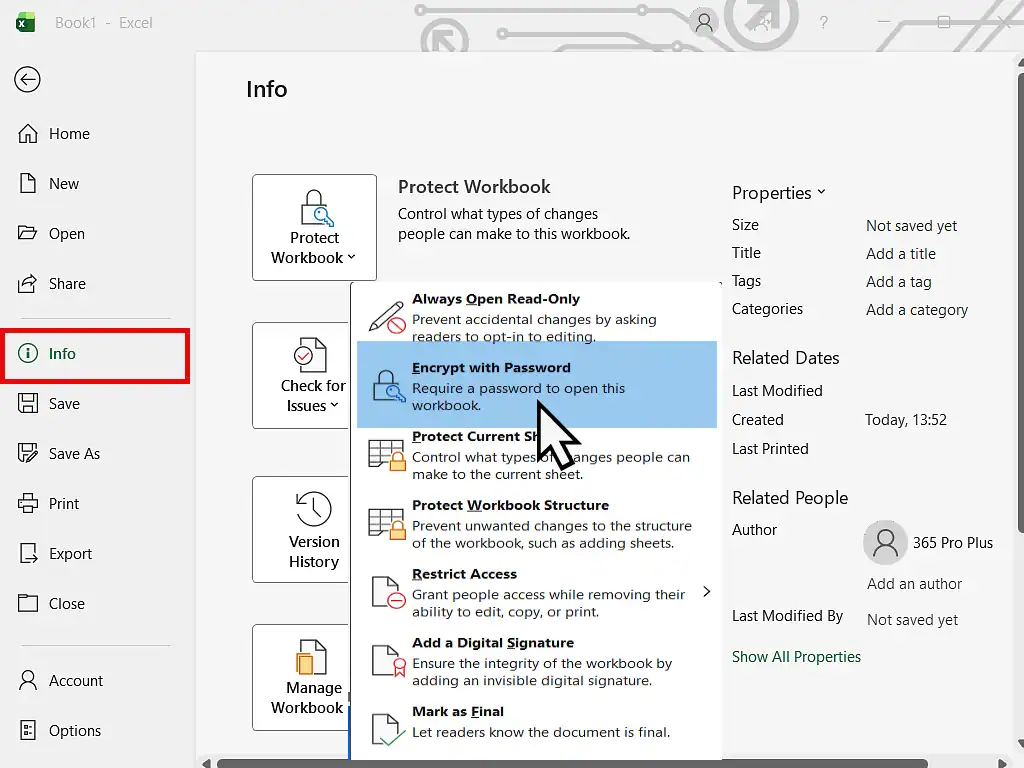 Adding password protection to an Excel file.
